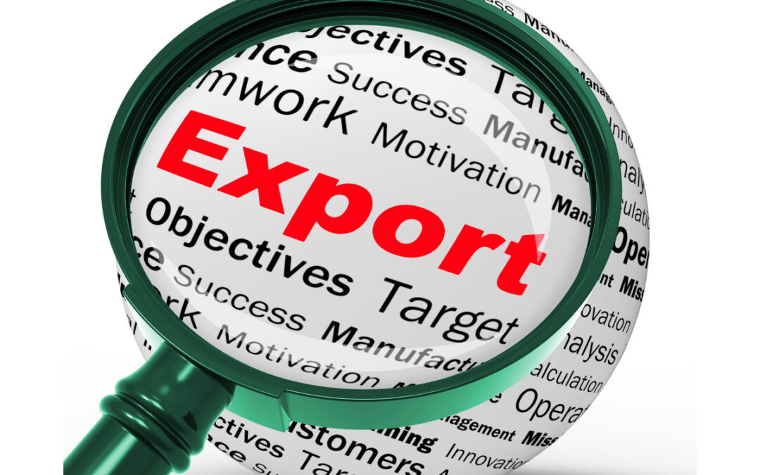Esportare: la tua azienda è pronta?