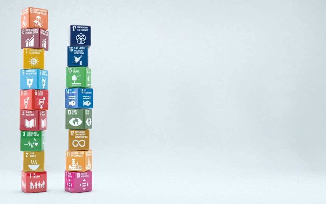 Agenda 2030 sostenibilità