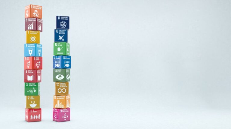Agenda 2030 sostenibilità