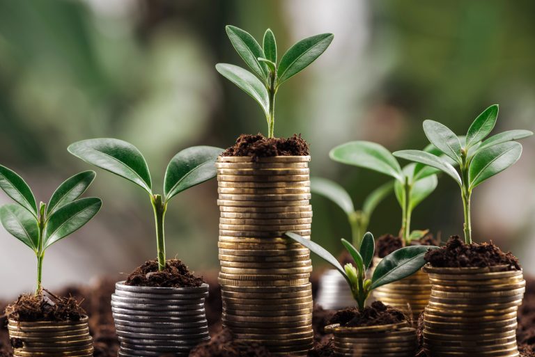 Linee guida EBA sui rischi ESG: come cambierà l'accesso al credito per le PMI italiane